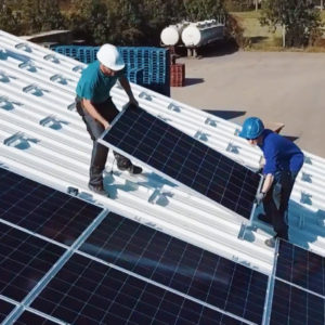 piet-bruijn-zonnepanelen-installatie-bedrijfsdak